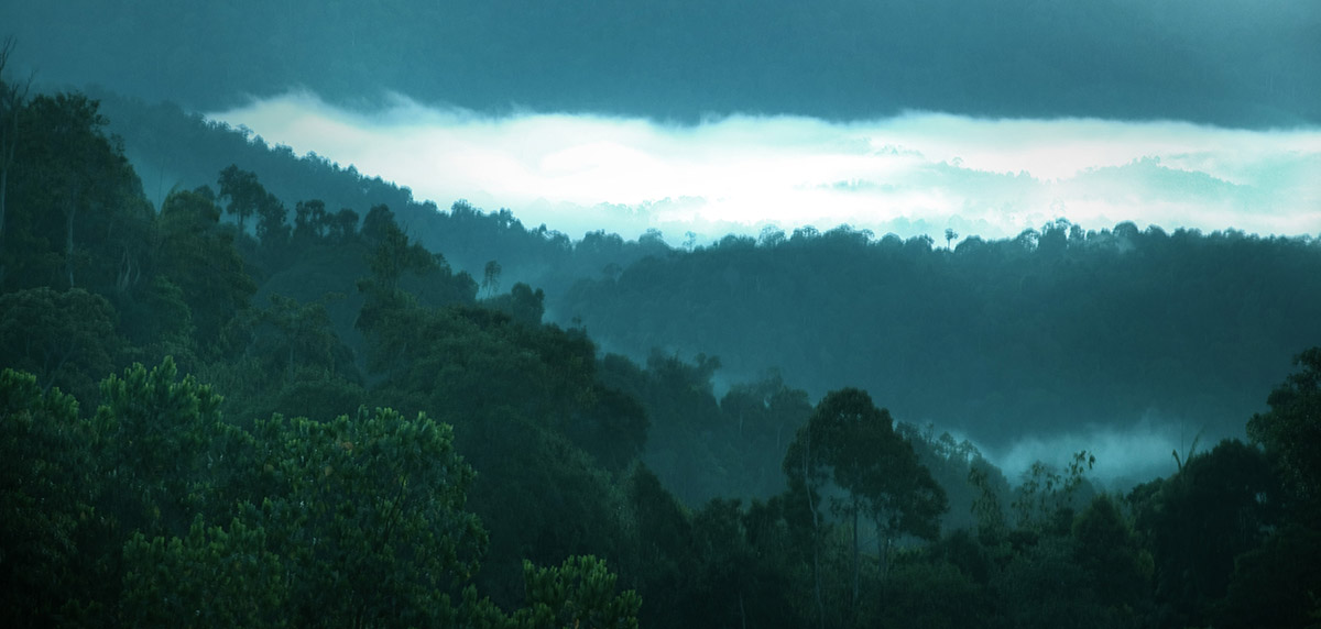 BOH Plantations, Malaysia